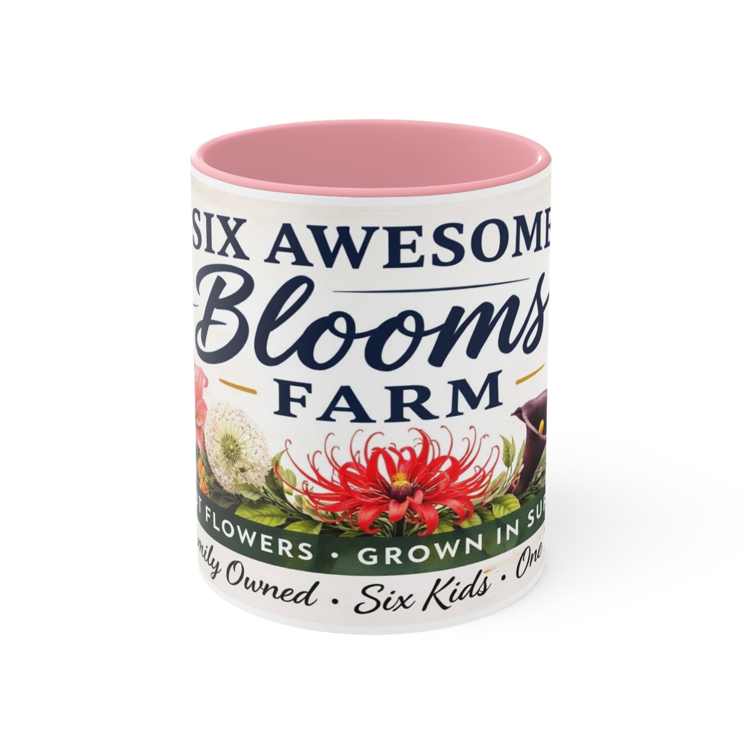 Copy of Accent Mugs